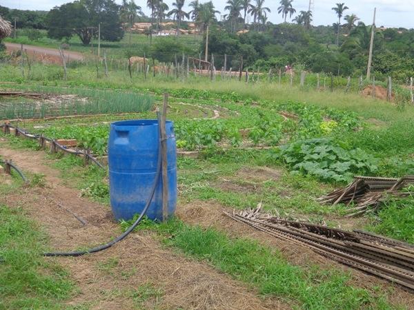 Dedé Marinho apoia projeto de Produção Agroecológica Integrada e Sustentável - Imagem 22