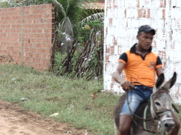 Competições e show gospel marcou o 2º dia de comemorações pelo 50 anos de emancipação política de Santo Inácio     - Imagem 6