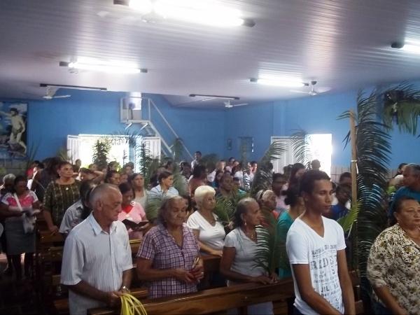 Confira como foi a procissão de ramos em Agricolândia - Imagem 2