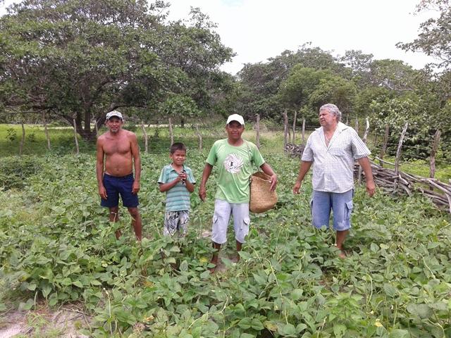Projetos para Agricultura Familiar são apresentados neste fim de semana pela Secretaria de Agricultura