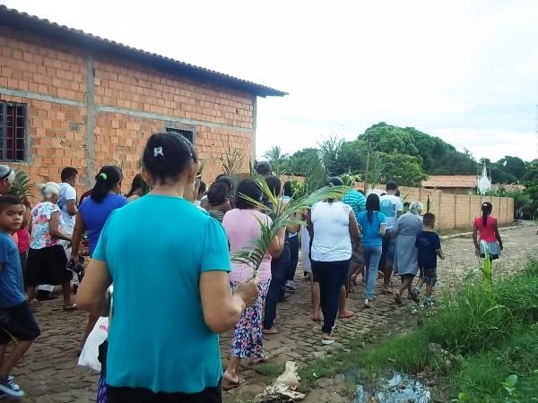 Confira como foi a procissão de ramos em Agricolândia - Imagem 23