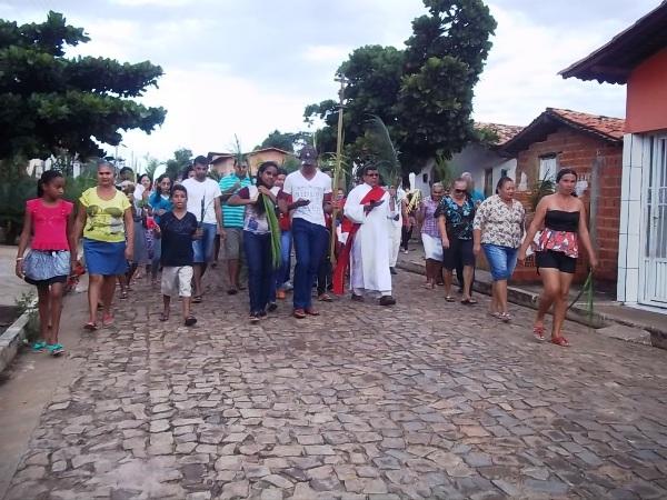 Confira como foi a procissão de ramos em Agricolândia - Imagem 19
