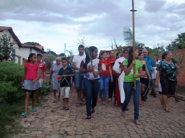 Confira como foi a procissão de ramos em Agricolândia - Imagem 22