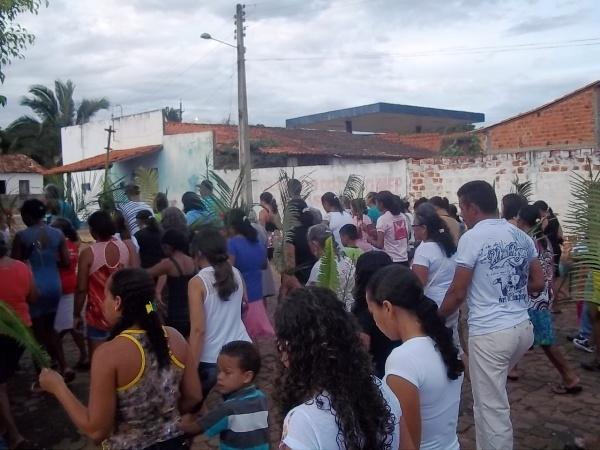Confira como foi a procissão de ramos em Agricolândia - Imagem 7