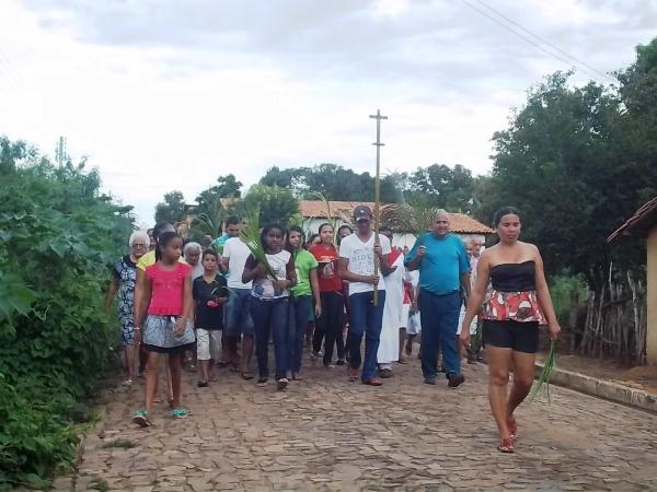 Confira como foi a procissão de ramos em Agricolândia - Imagem 18