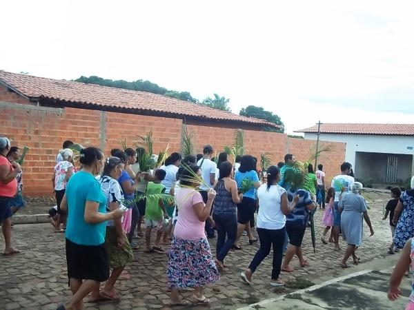 Confira como foi a procissão de ramos em Agricolândia - Imagem 26