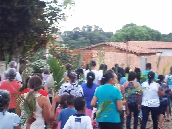Confira como foi a procissão de ramos em Agricolândia - Imagem 28
