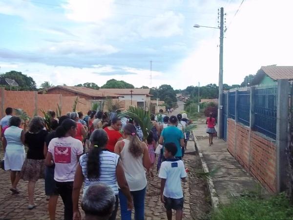 Confira como foi a procissão de ramos em Agricolândia - Imagem 27