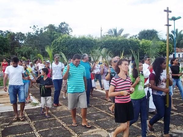 Confira como foi a procissão de ramos em Agricolândia - Imagem 4