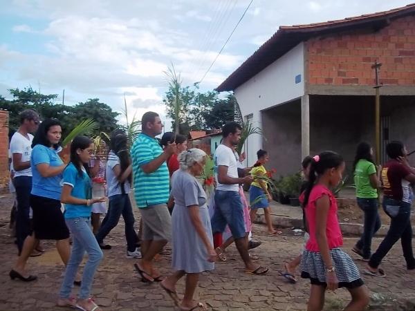 Confira como foi a procissão de ramos em Agricolândia - Imagem 24