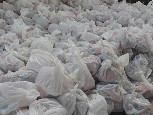 Assistência Social executa a distribuição de cestas básicas - Imagem 8