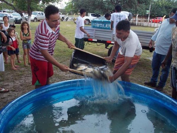 Bons negócios no I festival do Peixe na cidade de Batalha - Imagem 14