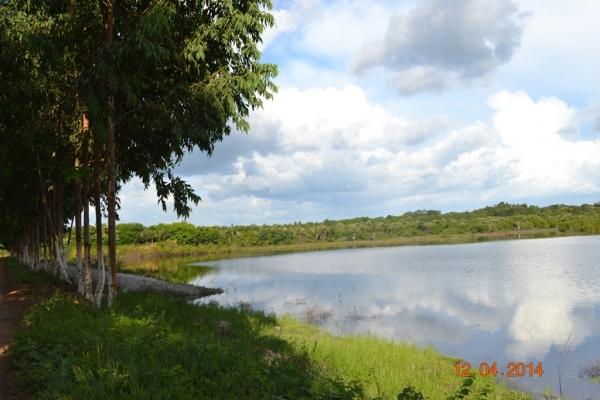 Boa Hora se torna um dos grandes produtores de soja do Piauí - Imagem 4