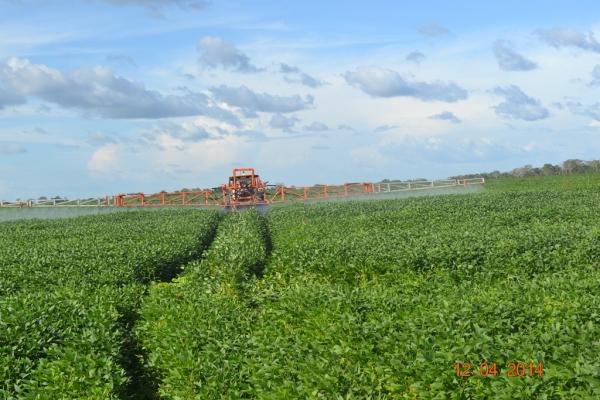 Boa Hora se torna um dos grandes produtores de soja do Piauí - Imagem 43