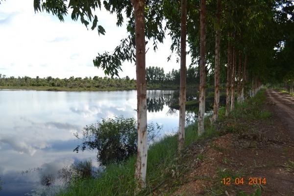 Boa Hora se torna um dos grandes produtores de soja do Piauí - Imagem 16