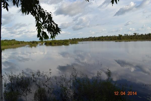 Boa Hora se torna um dos grandes produtores de soja do Piauí - Imagem 15