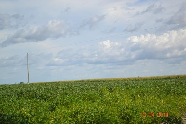 Boa Hora se torna um dos grandes produtores de soja do Piauí - Imagem 70