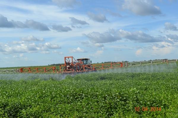 Boa Hora se torna um dos grandes produtores de soja do Piauí - Imagem 47