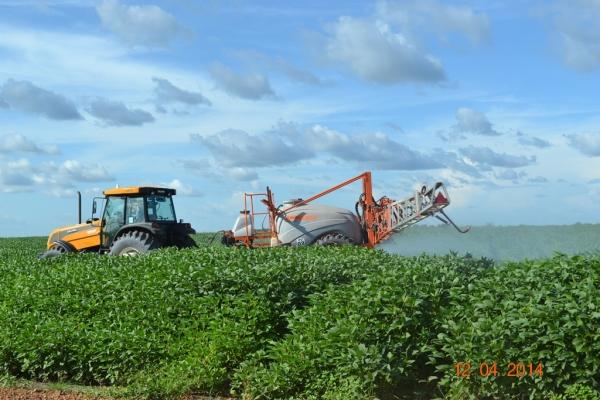 Boa Hora se torna um dos grandes produtores de soja do Piauí - Imagem 49