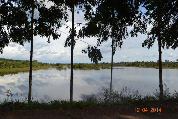 Boa Hora se torna um dos grandes produtores de soja do Piauí - Imagem 12