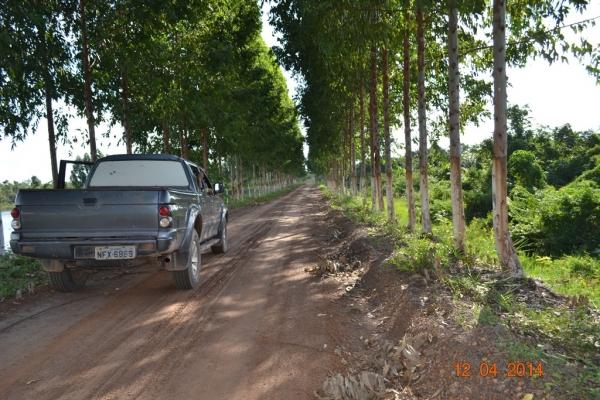 Boa Hora se torna um dos grandes produtores de soja do Piauí - Imagem 9