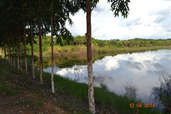 Boa Hora se torna um dos grandes produtores de soja do Piauí - Imagem 13