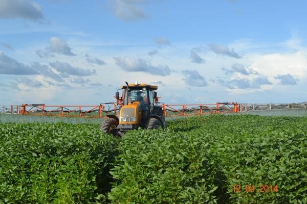 Boa Hora se torna um dos grandes produtores de soja do Piauí - Imagem 51