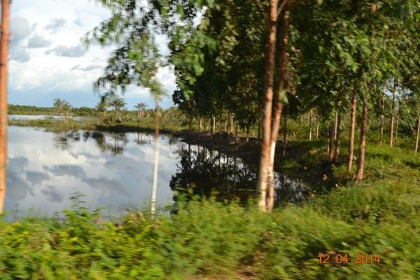 Boa Hora se torna um dos grandes produtores de soja do Piauí - Imagem 1