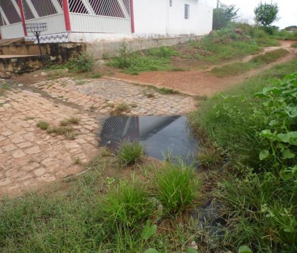 Animais mortos e lixo causam mau cheiro em rua do Bairro Matadouro, denunciam moradores  - Imagem 5