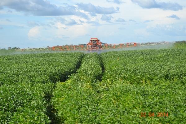 Boa Hora se torna um dos grandes produtores de soja do Piauí - Imagem 40