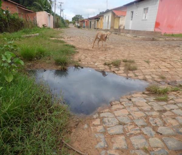 Animais mortos e lixo causam mau cheiro em rua do Bairro Matadouro, denunciam moradores  - Imagem 6