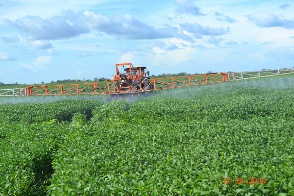 Boa Hora se torna um dos grandes produtores de soja do Piauí - Imagem 45