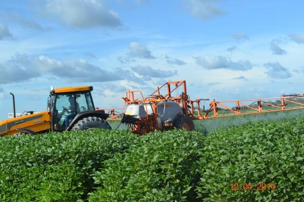Boa Hora se torna um dos grandes produtores de soja do Piauí - Imagem 50