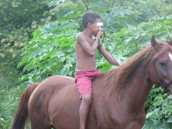 Animais mortos e lixo causam mau cheiro em rua do Bairro Matadouro, denunciam moradores  - Imagem 8