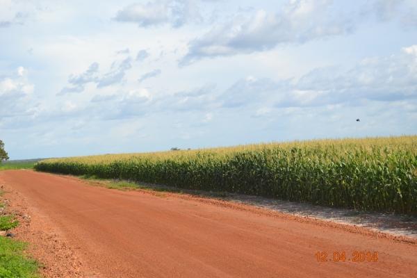 Boa Hora se torna um dos grandes produtores de soja do Piauí - Imagem 68