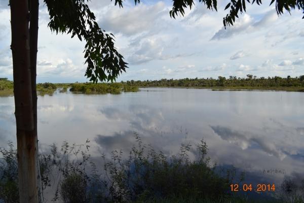 Boa Hora se torna um dos grandes produtores de soja do Piauí - Imagem 14