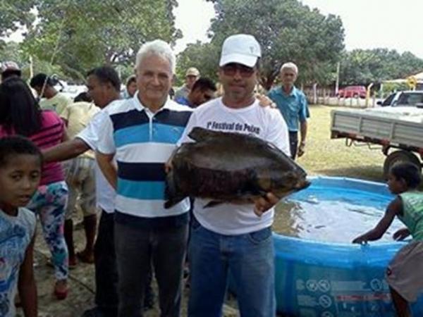 Bons negócios no I festival do Peixe na cidade de Batalha - Imagem 1