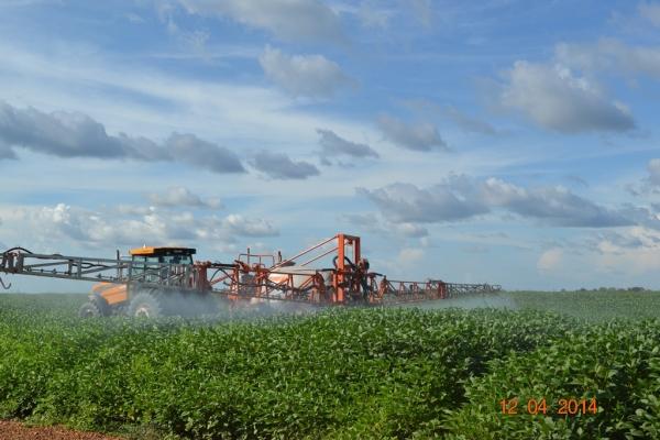 Boa Hora se torna um dos grandes produtores de soja do Piauí - Imagem 48