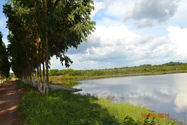 Boa Hora se torna um dos grandes produtores de soja do Piauí - Imagem 3