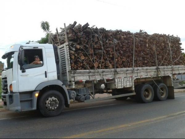 PRF apreende em Picos madeira irregular com destino a Pernambuco. - Imagem 1