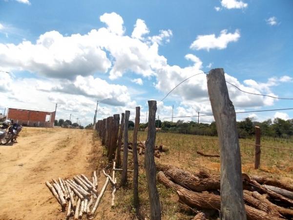 ADAPI  acompanha os preparativos para vaquejada em Canavieira - Imagem 4