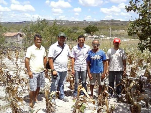 Falta de chuva prejudica plantação e pecuária em Pimenteiras - Imagem 11