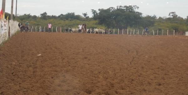 Maratonas e corridas de jumentos abriram  a programação do dia 28 em Canavieira - Imagem 4