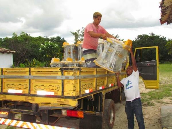 Escolas da zona rural são beneficiadas com novas carteiras - Imagem 1