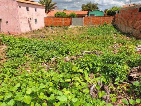 Dois excelentes terrenos à vendas localizados no centro comercial - Imagem 10