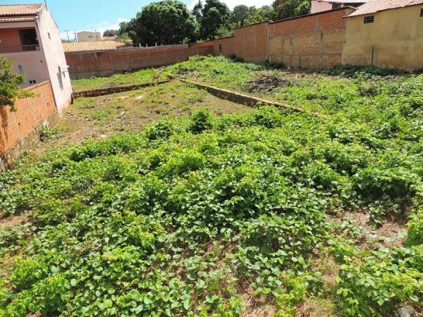 Dois excelentes terrenos à vendas localizados no centro comercial - Imagem 4