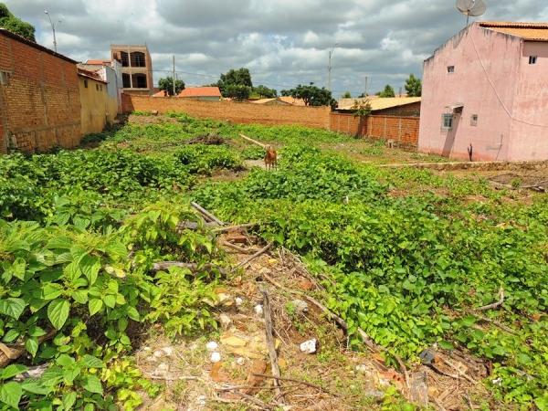 Dois excelentes terrenos à vendas localizados no centro comercial - Imagem 6