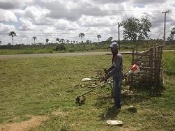 Prefeitura trabalha constante na limpeza de ruas e avenidas de Caxingó 