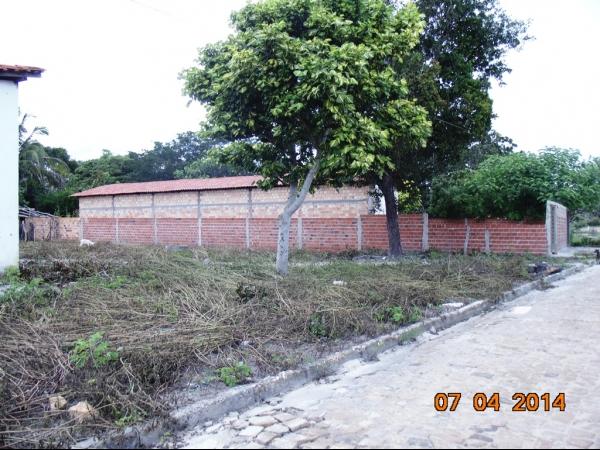 Prefeito Realiza mutirão de limpeza nas principais via de Boa Hora - Imagem 18