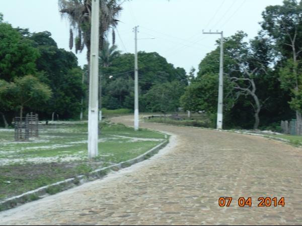 Prefeito Realiza mutirão de limpeza nas principais via de Boa Hora - Imagem 16